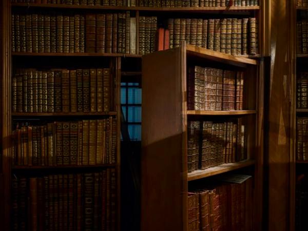 Loopholes and laundering: when free trade turns&nbsp;nefarious